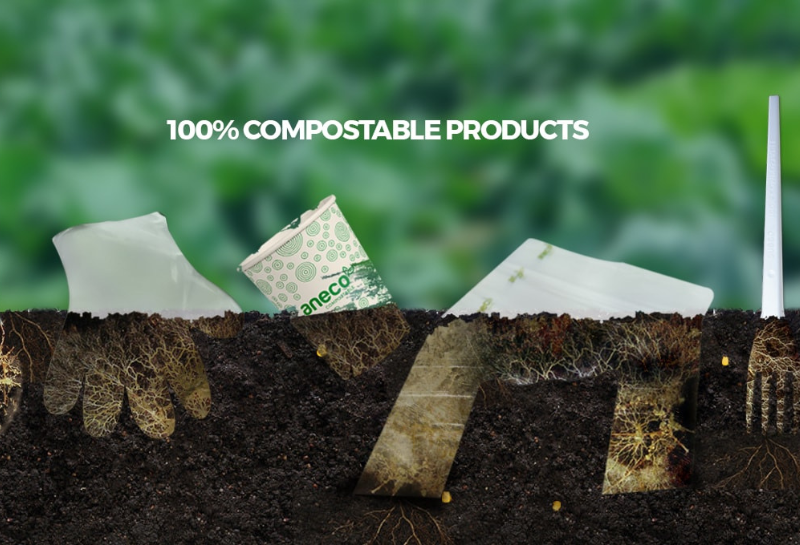 Aneco An Phat BioPlastics featured image