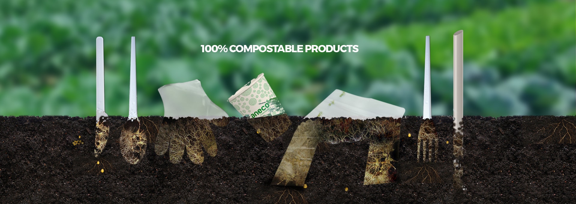 aneco-compostable-products An Phat Bioplastics