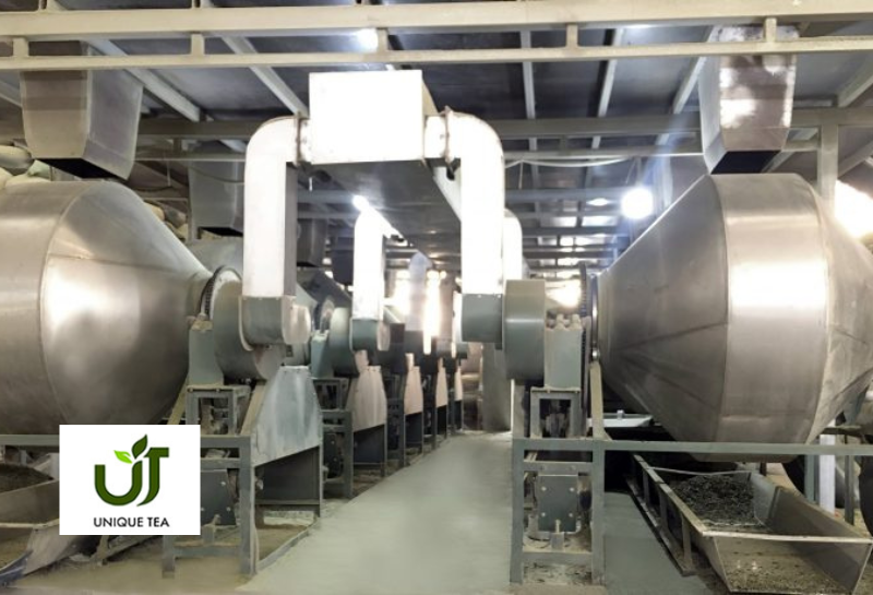 UT Tea production line featured image - Vietnam Directory