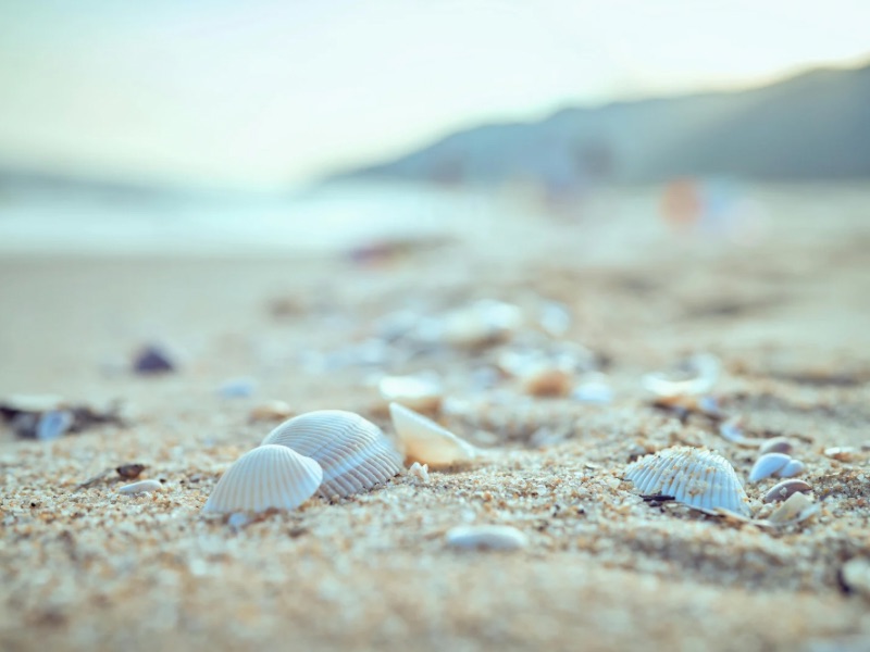 Listing Catergory Featured image 800x600px