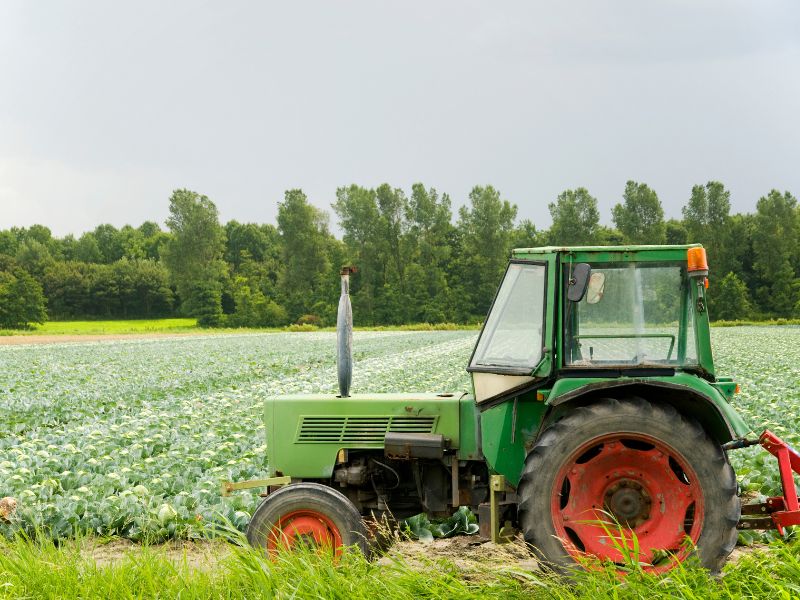 agriculture-food-industry featured image 800x600px